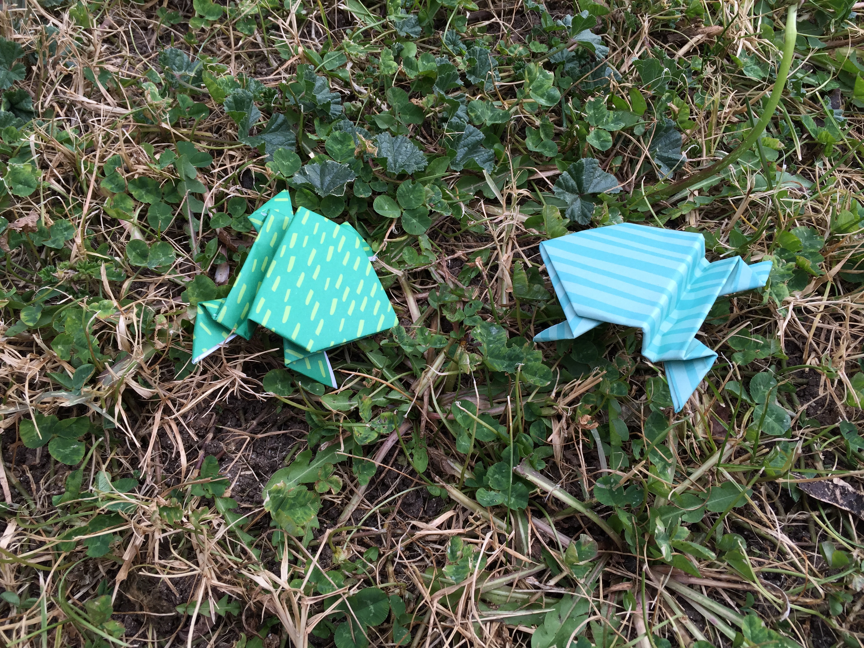 Origami rana