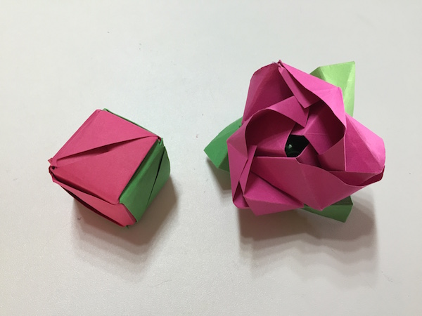 Rosa origami