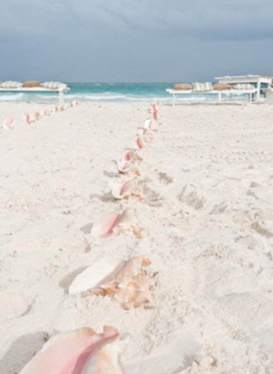 bodas en la playa