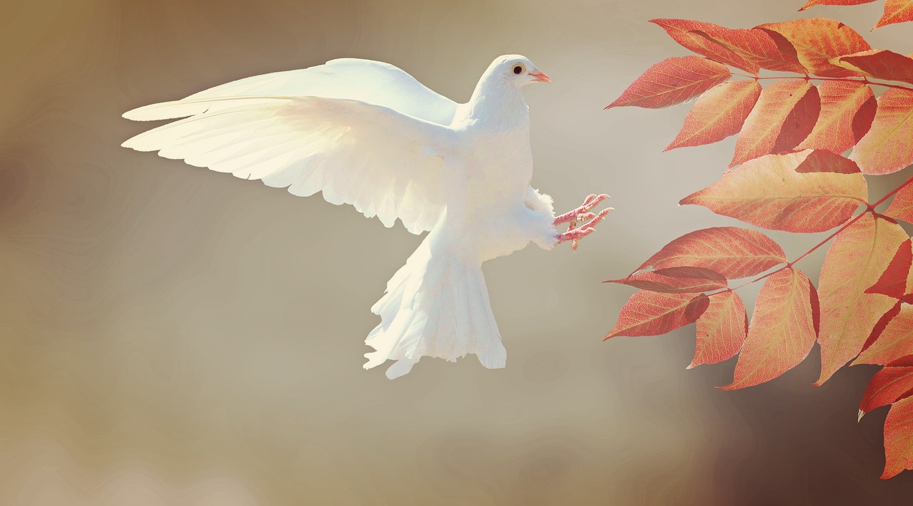 ¿Qué hacer cuando una pluma no escribe?
