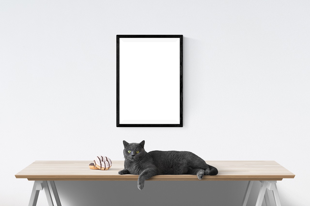 ¿Que pintar en un lienzo por primera vez?