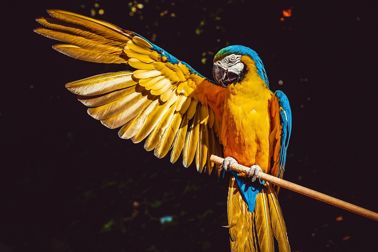¿Cómo suavizar una pluma?