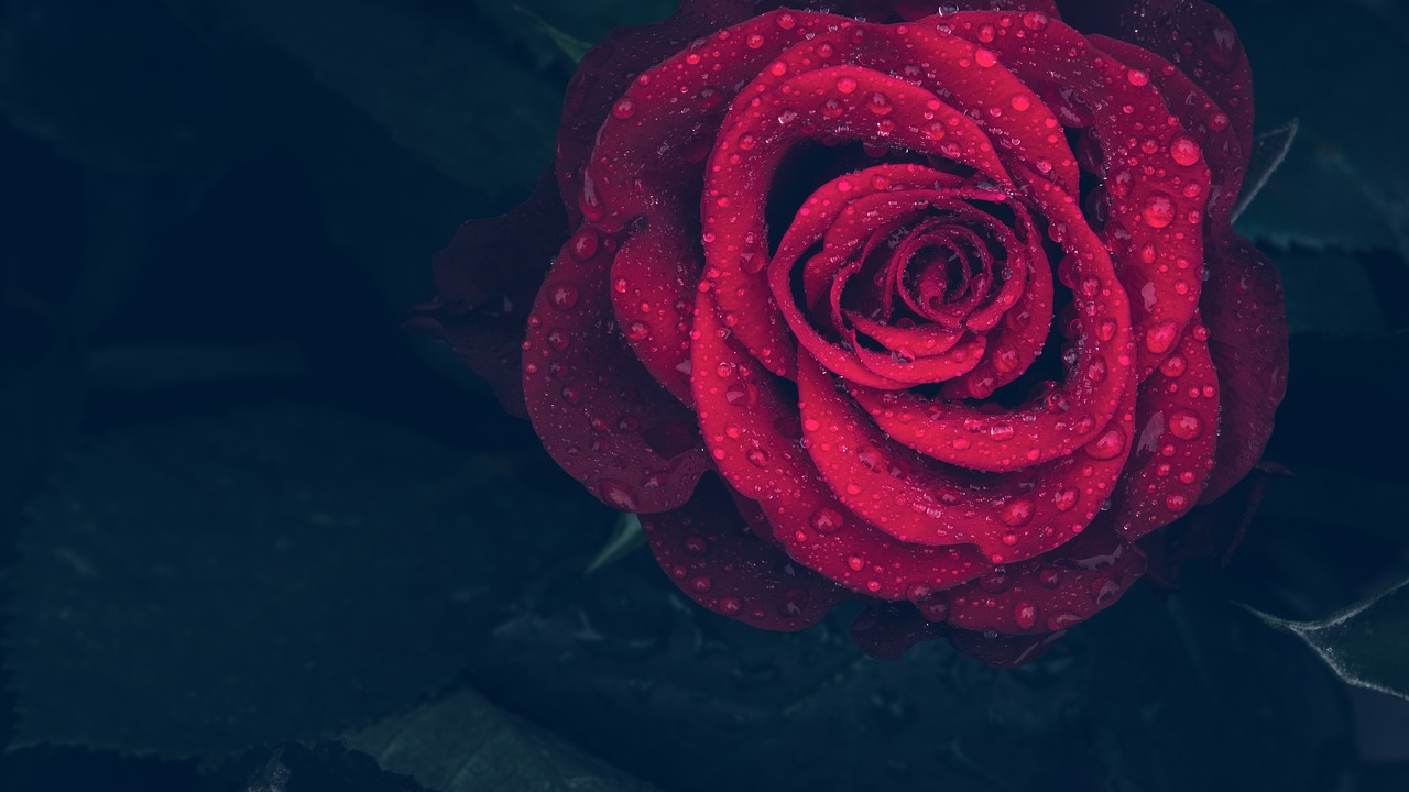 ¿Cómo hacer el color rojo natural?