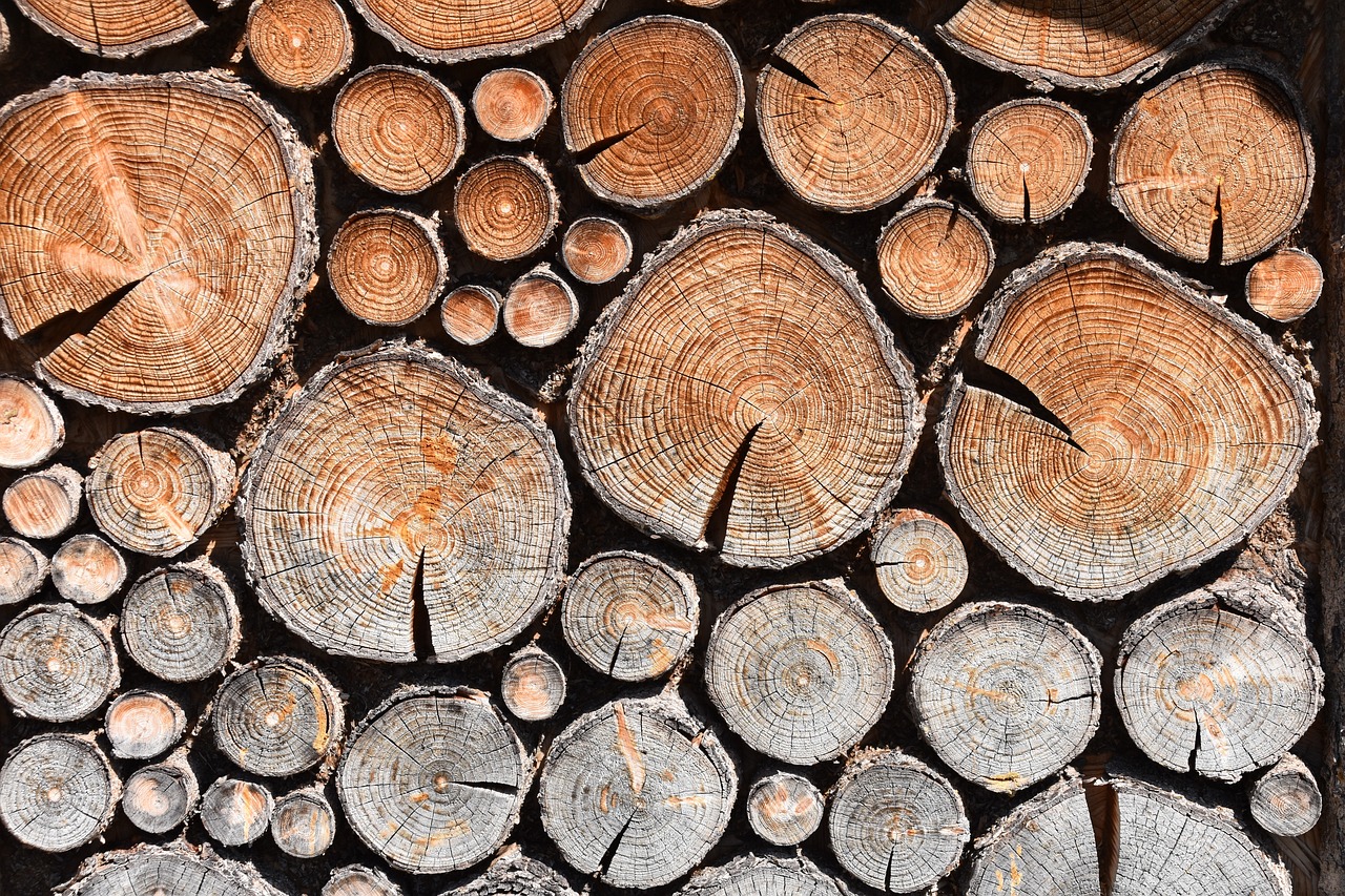 ¿Que se puede usar para pulir madera?