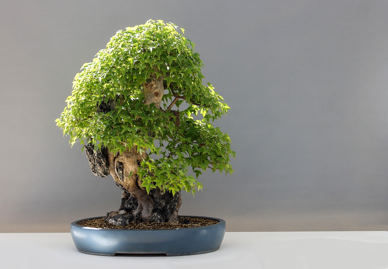 ¿Cómo se llama el arte de Japón?